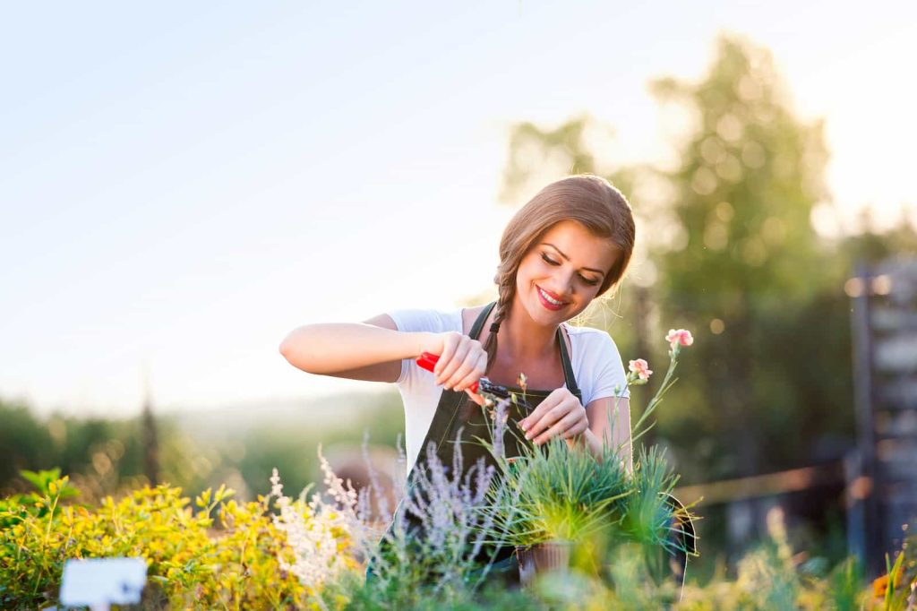 A young woman with a brown braid, wearing a white shirt and black apron, smiles as she uses red garden shears to trim plants in a sunlit garden.